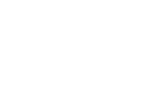 Bórea Zona Valle Real Logo