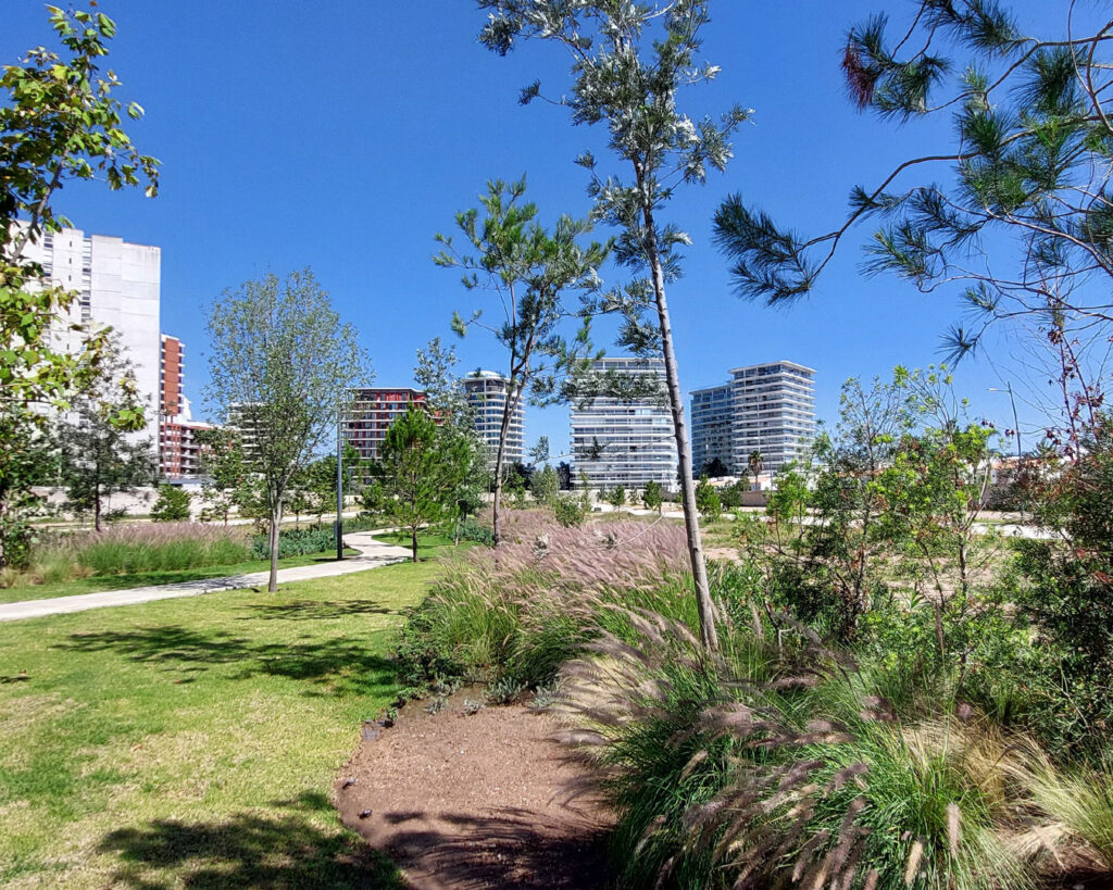 borea_landing_assets_img_amenidades_parque_lineal02